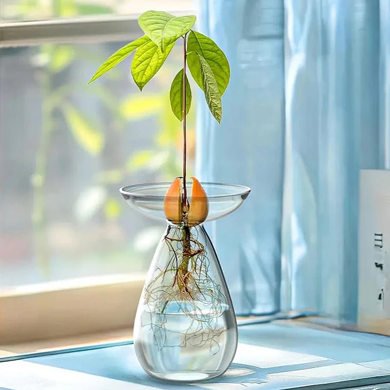 Florero hidropónico de vidrio variante A2