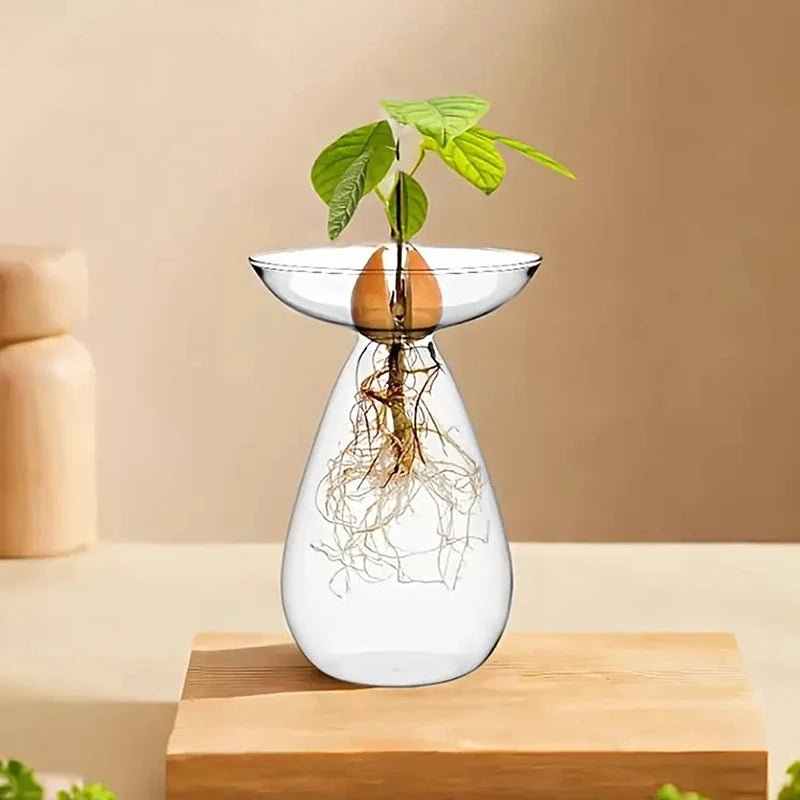 Florero hidropónico de vidrio variante A6