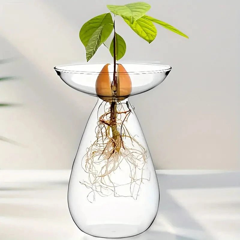 Florero hidropónico A6 para cultivo en agua