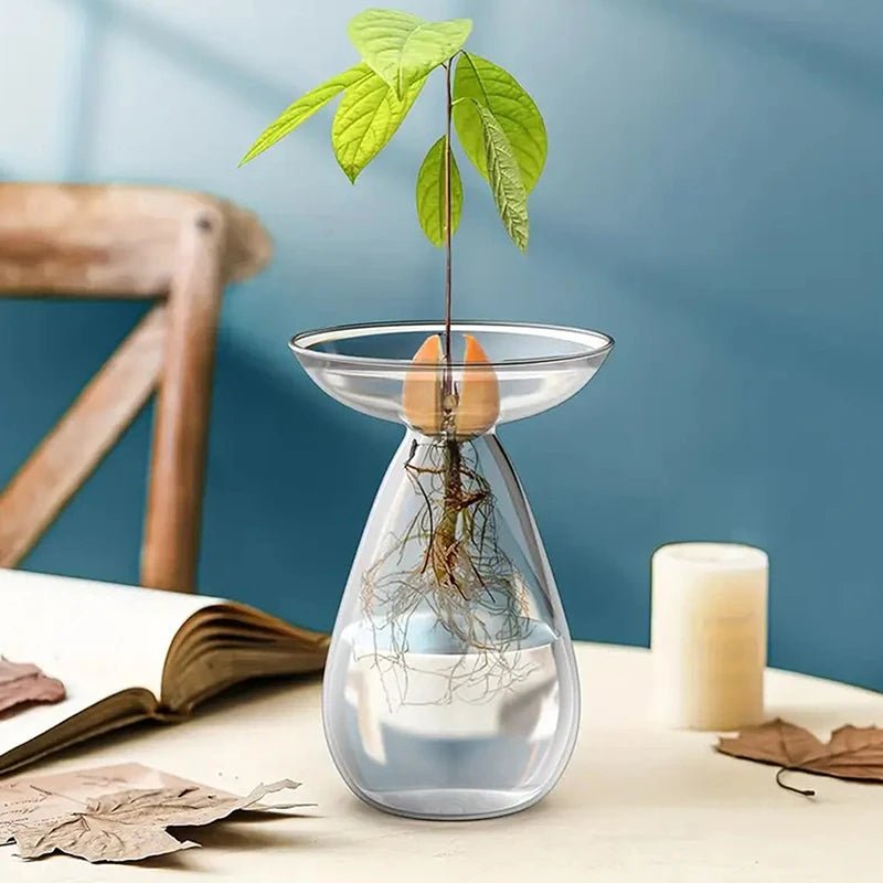 Florero hidropónico A6 para cultivo en agua